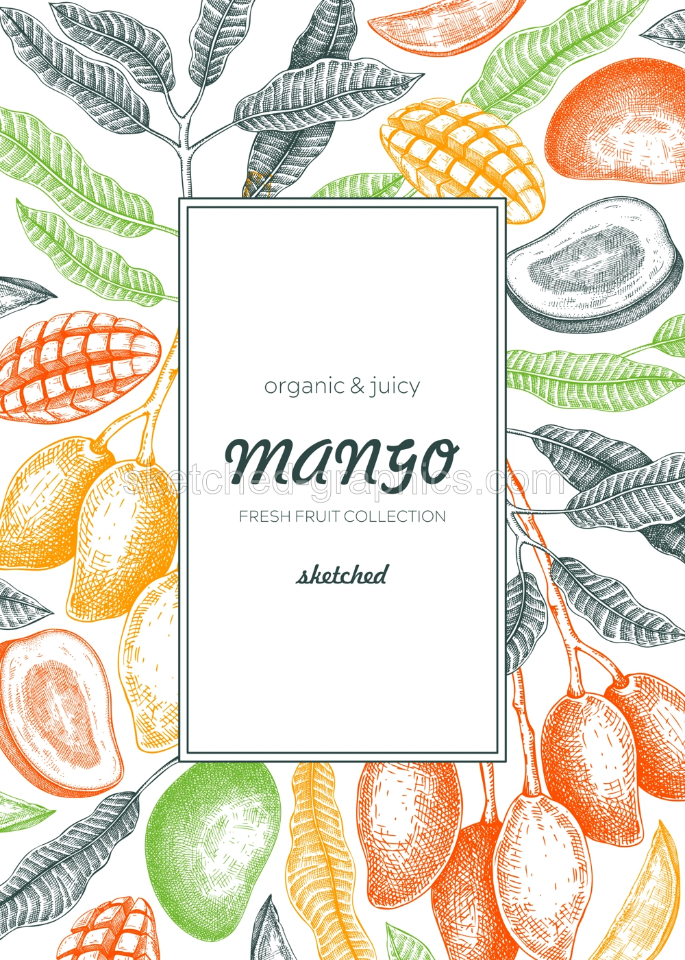 Tropical fruit frame design. Summer background. Mango fruit sketch, hand-drawn vector illustration. Juice packaging, card invitation, label template. NOT AI generated Illustration